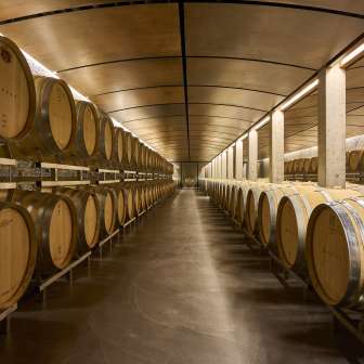 Weinkeller Weingut Davaz © Weingut Davaz