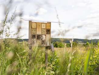 Bienenhotel auf einer Wildblumenwiese