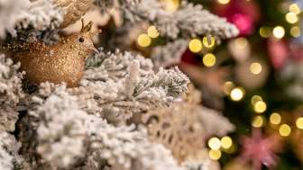 GRBR Themen Weihnachten Resort allgemein 2022 Deko V2