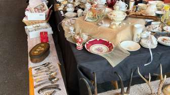 IMG 4908