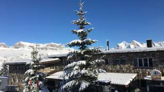 Hotel-Restaurant-Ferienhaus ALTE SEKTION