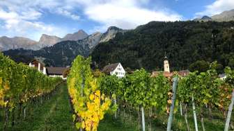 Jürg Obrecht Weine Jenins