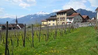 Haus Schmid, jetzt Fromm