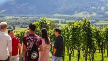 Kulinarik, Wein