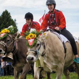 Kuhrennen 03aa7e69