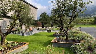 Weingut Fromm, Malans