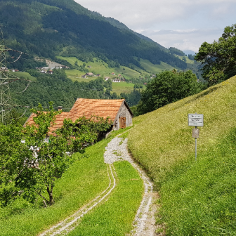 2026 06 21 Tamina 2  Ragol