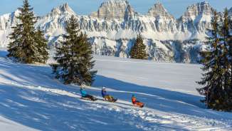 Prodalp, Schlitteln, Freunde, Schlittenabfahrt, abfahrt