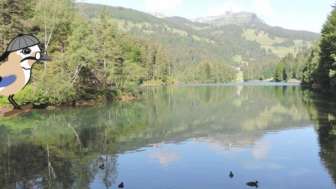 Naturpfad Chapfensee