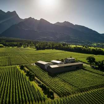 Weingut Davaz © Weingut Davaz