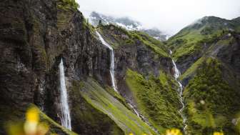 Weisstannen, Batöni, Weisstannental