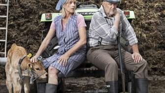 Plakat Flyer Zuschnitt